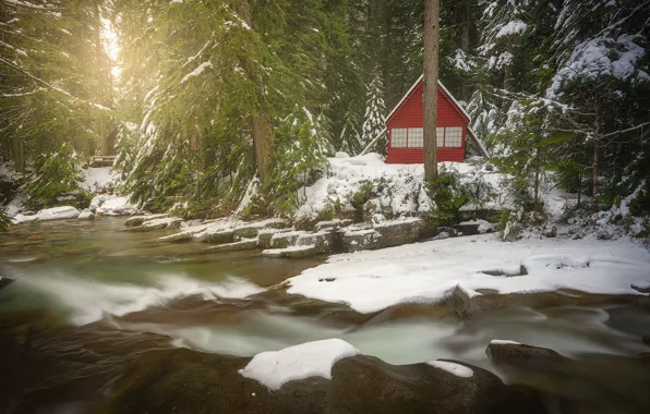 Picture winter, forest, snow, house, river, Washington State, Washington, Snoqualmie River