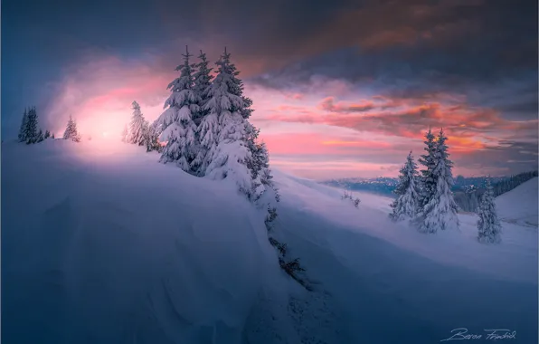 Wallpaper winter, the sky, snow, sunset, tree, Photographer Friedrich ...