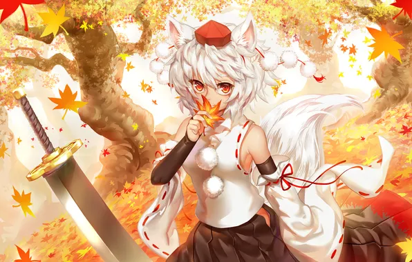 Autumn, look, leaves, girl, smile, weapons, tail, ears