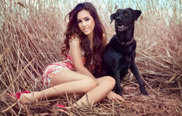 Picture look, girl, smile, dog