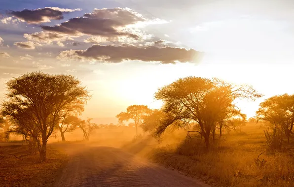 Road, landscape, morning, Africa