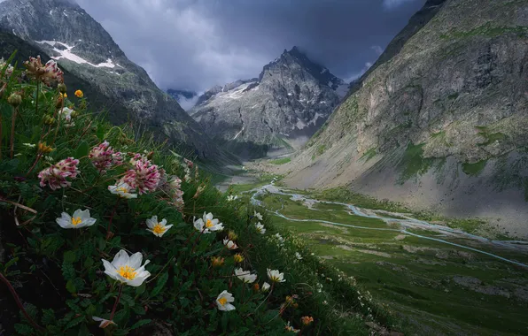 Flowers, mountains, clouds, river, the slopes, tops, Alps, haze