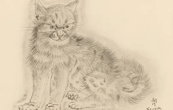 Cat, grey, gloomy, 1930, Tsuguharu, Fujita, The Book Of Cats