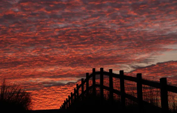 Picture the sky, clouds, the fence