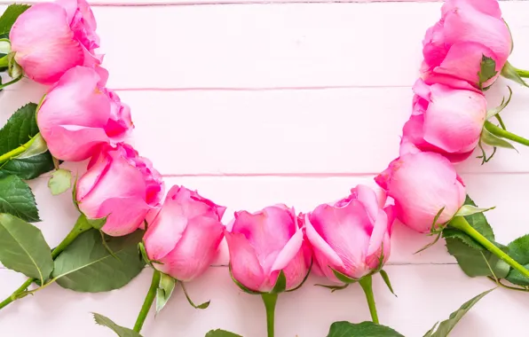 Flowers, roses, pink, fresh, wood, pink, flowers, roses