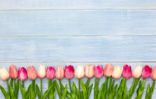 Picture flowers, tulips, pink, white, wood, pink, flowers, tulips