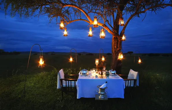Picture lamp, romance, the evening, Savannah, Africa, champagne, romantic, dinner