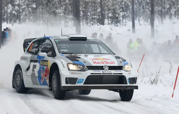 Winter, Snow, Forest, Volkswagen, WRC, Rally, Rally, Polo