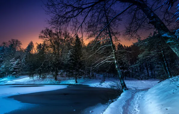 Winter, snow, trees, night, pond, Park, path
