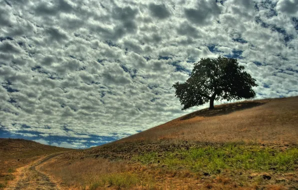 The sky, clouds, nature, tree, hill