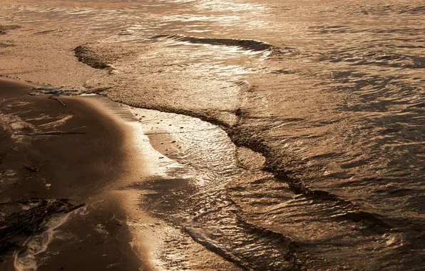 Sand, wave, foam, branches, shore