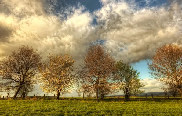 Nature, food, mood