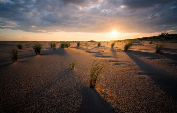 Sand, grass, the sun, clouds, rays, light, sunset, dawn