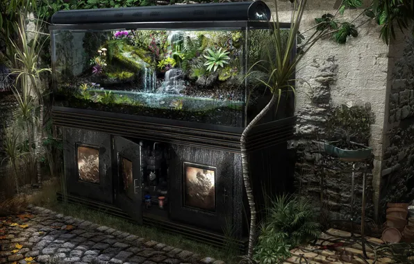 Realism, aquarium, plants