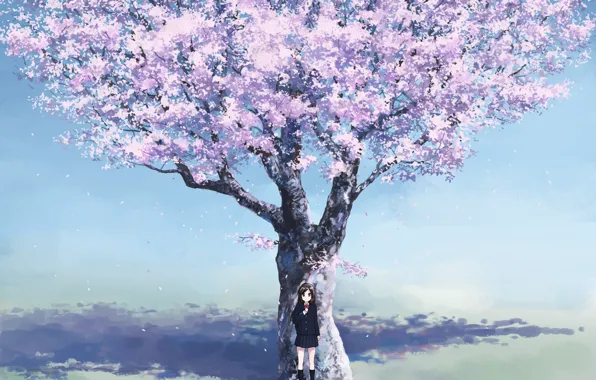 Cherry, spring, anime, Sakura, girl