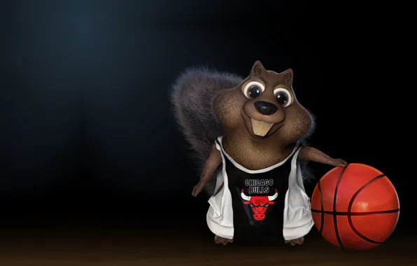 Picture the ball, basketball, Chicago Bulls, Chicago Bulls, children's, darlon ximenes, Squirrel playing basketball!