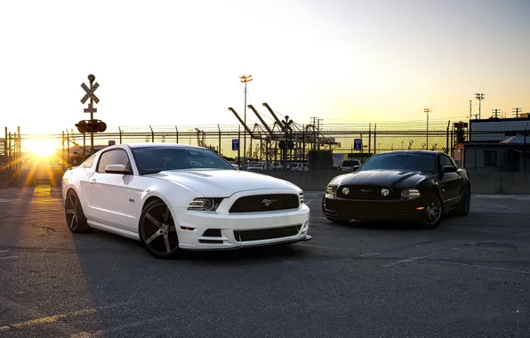 White, sunset, black, mustang, Mustang, the fence, white, ford