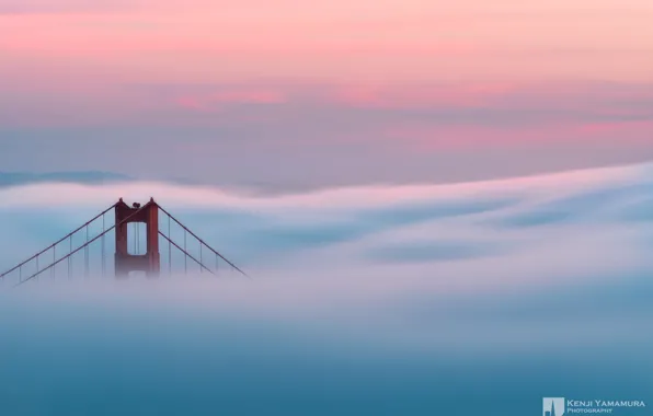 Picture fog, dawn, San Francisco, Golden gate, photographer, Kenji Yamamura