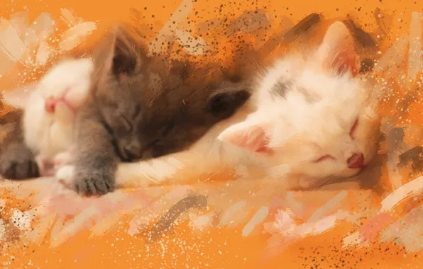 Grey, picture, divorce, watercolor, kittens, white, strokes, sleep