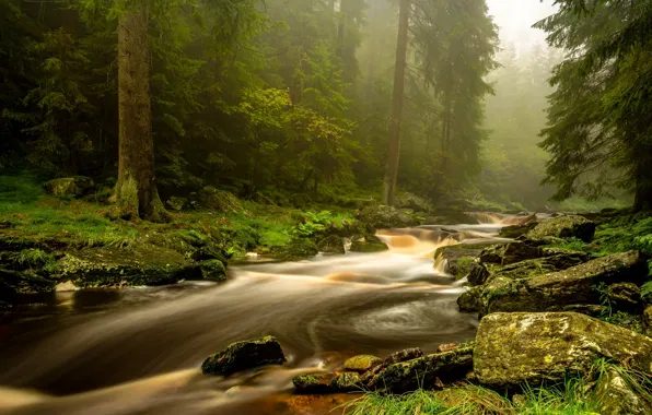 Wallpaper for, fog, shore, ate, stones, river, haze, pond
