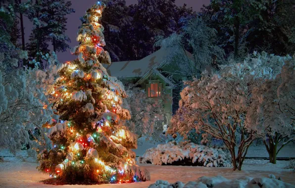 Snow, trees, lights, house, holiday, tree, new year