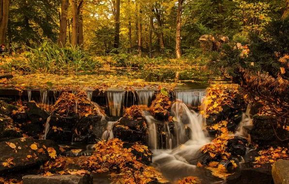 Autumn, forest, leaves, trees, branches, Park, stones, foliage