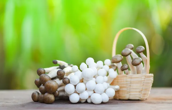 Green, table, background, mushrooms, food, blur, hats, the beam