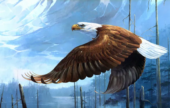 Forest, look, flight, mountains, bird, trunks, eagle, figure