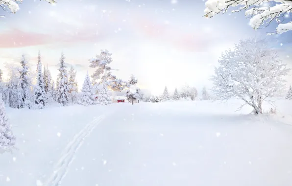Winter, frost, field, the sky, clouds, snow, trees, branches