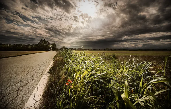 Picture road, the sky, grass