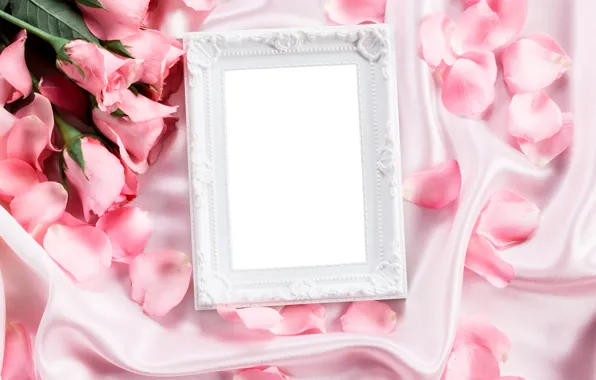 Picture flowers, roses, frame, petals, silk, pink, buds, fresh
