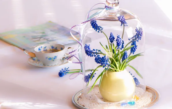 Flowers, table, Cup, blue, servirovka