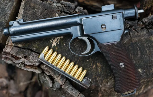 Gun, cartridges, 1907, Roth Steyr