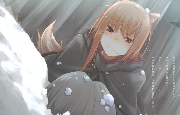 Snow, resentment, the fence, tears, tail, the snow, ears, spice and wolf