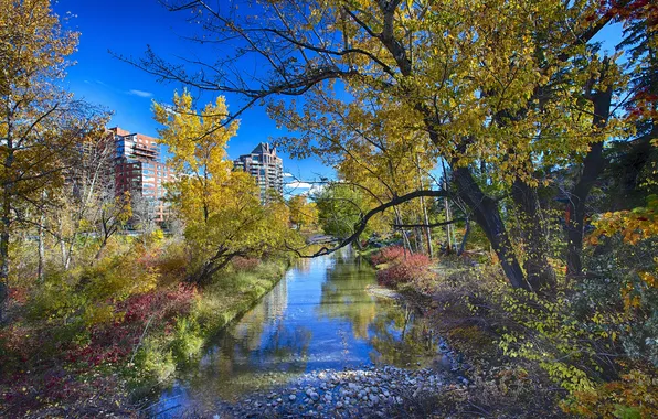Picture autumn, the sky, landscape, Park, home, Canada, Calgary