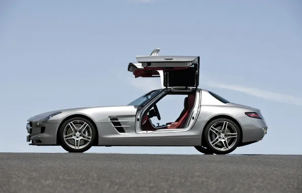 Picture seagulls, wing, Mercedes, AMG, SLS
