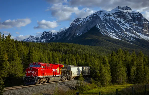 Forest, mountains, train, railroad, Banff National Park, Canada, British Columbia, Canadian Pacific Railway