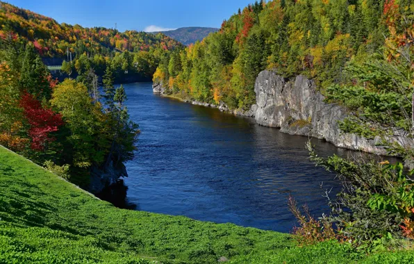 Autumn, forest, river, rocks, Canada, Canada, Humber River, Newfoundland and Labrador