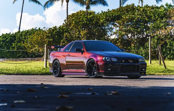Wallpaper GT-R, R34, Leaves, V-Spec for mobile and desktop, section ...