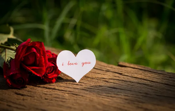 Picture love, flowers, heart, roses, red, love, i love you, heart
