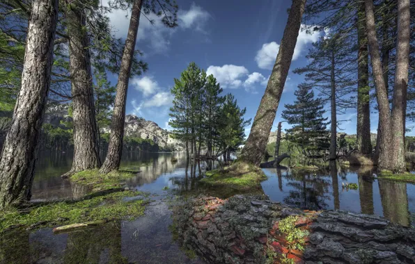 Picture trees, mountains, lake