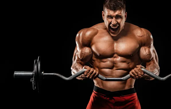 Pose, muscle, muscle, rod, athlete, biceps, gym, bodybuilder