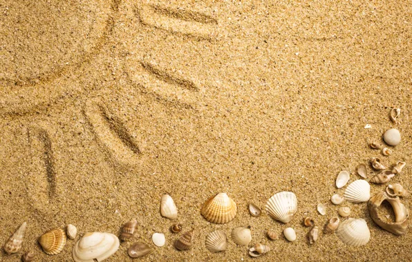 Beach, texture, sand, marine, seashells, sand seashells