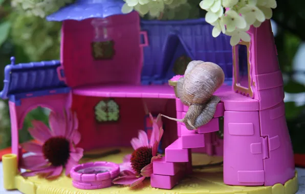 Purple, flowers, background, pink, snail, house, a doll's house, curiosity