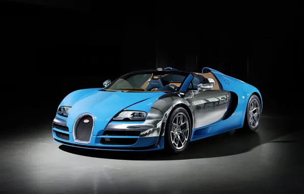 Picture Bugatti Veyron, Auto, Grand Sport, Vitesse