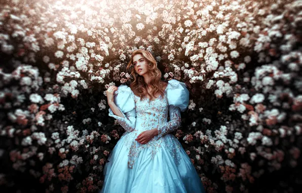 Picture girl, background, dress, beauty