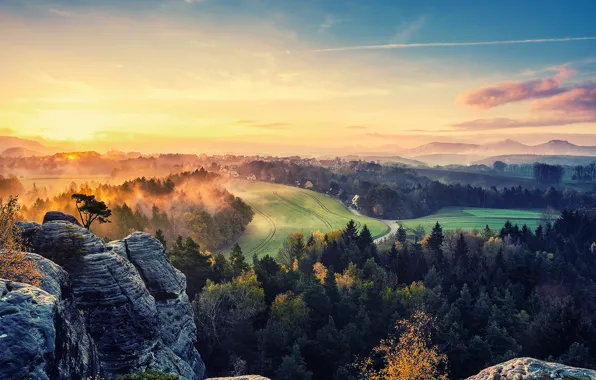 Picture trees, Park, rocks, Germany, panorama, the view from the top