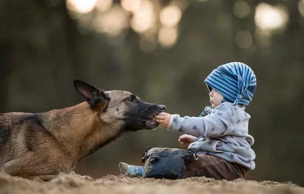 Picture background, dog, child
