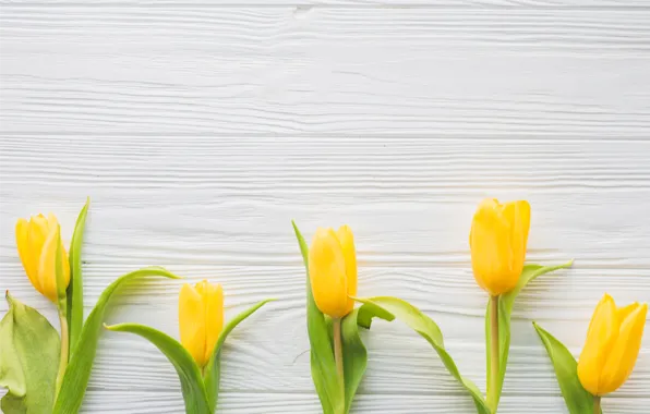 Flowers, spring, yellow, tulips, fresh, yellow, wood, flowers