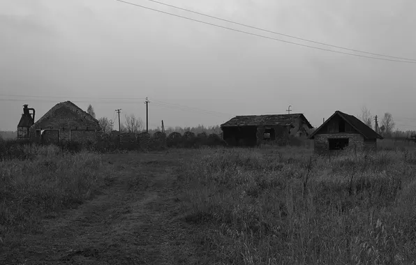 Picture road, the sky, grass, building, home, black and white, Russia, architecture